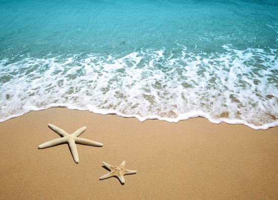 Vacanze estive